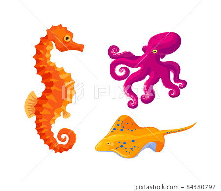Sea ocean underwater animals. Different sea... - Stock Illustration  [84380792] - PIXTA