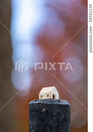A small cute white house (autumn colored tree background) A small cute white house (autumn colored tree background) 84381239