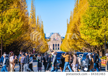 Tokyo cityscape of Japan You can see the golden-colored Jingu Gaien Ginkgo trees and the Hinomaru 84381463
