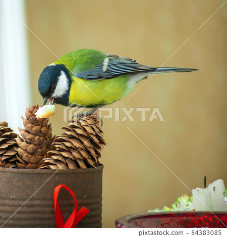 A titmouse bird eats on a table with Christmas decorations 84383085