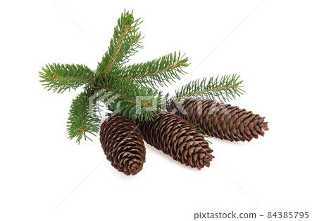christmas cones isolated 84385795