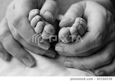 Legs, toes, feet and heels of a newborn. The hands of parents, father, mother. Legs, toes, feet and heels of a newborn. The hands of parents, father, mother. 84386036