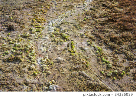 Pollution of the grounds with toxic waste from mining copper Pollution of the grounds with toxic waste from mining copper 84386059