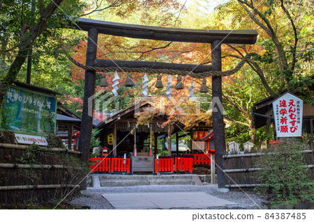 Kyoto Nomiya Shrine 84387485