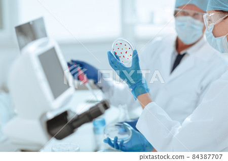 close up. scientists investigating bacteria in a Petri dish. 84387707