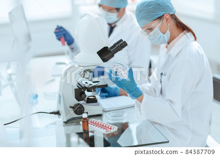 scientists investigating the development of bacteria in the laboratory . 84387709