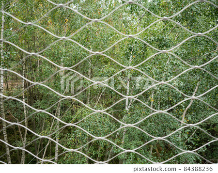 Modern stainless wire chainlink fence against green forest Modern stainless wire chainlink fence against green forest 84388236