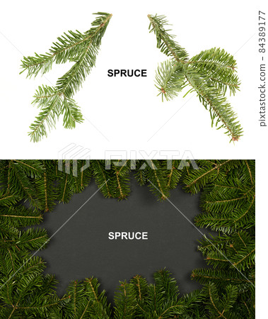 Creative layout made of spruce branch. High resolution photo. 84389177