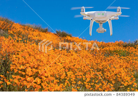 Drone Flying Above California Poppies Landscape During the 2019 Super Bloom. Drone Flying Above California Poppies Landscape During the 2019 Super Bloom. 84389349