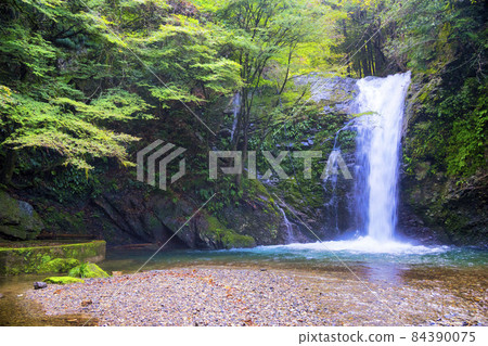 Yokotani Gorge Four Waterfalls Autumn Leaves Waterfall 84390075