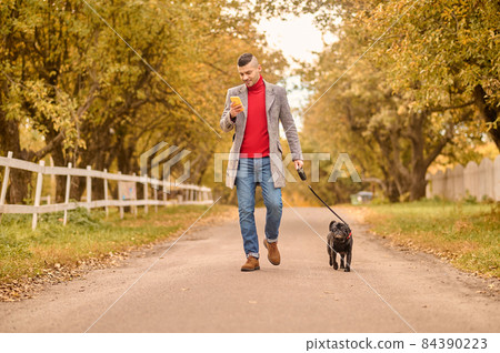 Man walking with a dog in a park Man walking with a dog in a park 84390223