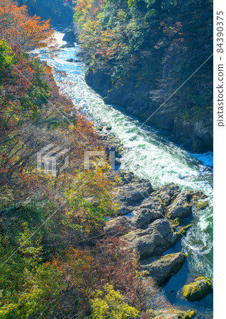 View from Hanetaki Bridge Takatsudo Gorge Takatsudo Gorge Autumn leaves and autumn scenery View from Hanetaki Bridge Takatsudo Gorge Takatsudo Gorge Autumn leaves and autumn scenery 84390375