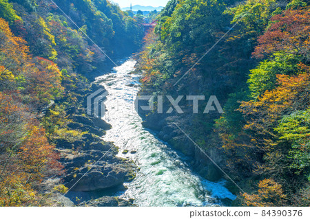 從羽卷橋眺望 高津堂峽谷 高津堂峽谷 秋葉秋景 84390376