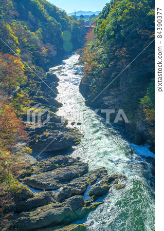 從羽卷橋眺望 高津堂峽谷 高津堂峽谷 秋葉秋景 84390377