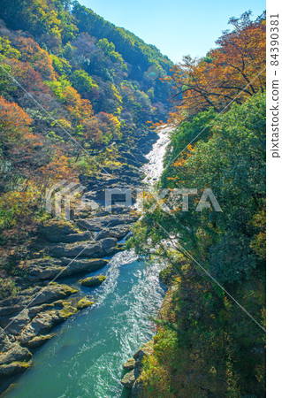 View from Hanetaki Bridge Takatsudo Gorge Takatsudo Gorge Autumn leaves and autumn scenery View from Hanetaki Bridge Takatsudo Gorge Takatsudo Gorge Autumn leaves and autumn scenery 84390381