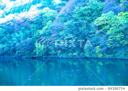 Takatsudo Dam Lake Omama Autumn Scenery Takatsudo Dam Lake Omama Autumn Scenery 84390754
