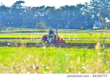 寒川町的田園風光 寒川町的田園風光 84390775
