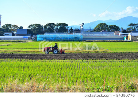 寒川町的田園風光 84390776