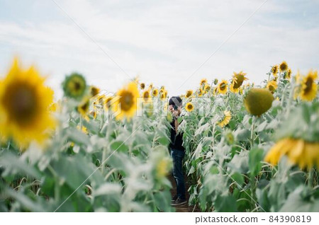 A boy holding a camera in a sunflower field A boy holding a camera in a sunflower field 84390819