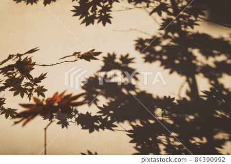Background material of colored maples and shadows falling on the stucco wall b-4-2 Front bokeh retro style 84390992