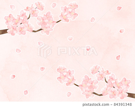 Cherry blossom card processed in watercolor style (with white border) 84391348