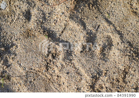 Sandy beach texture gravel Sandy beach texture gravel 84391990