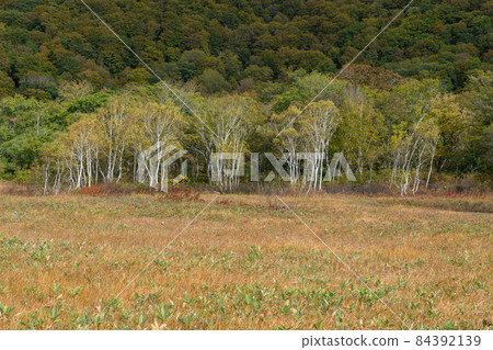 Autumn Ozegahara 84392139