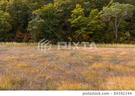 Autumn Ozegahara Autumn Ozegahara 84392144