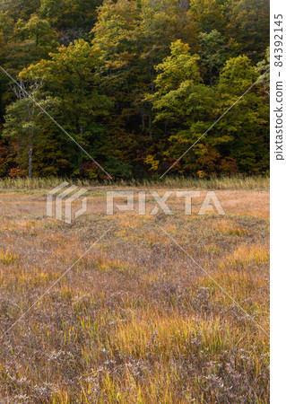 Autumn Ozegahara Autumn Ozegahara 84392145