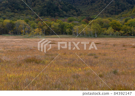 Autumn Ozegahara Autumn Ozegahara 84392147