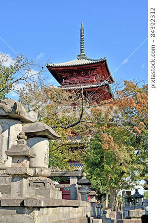 池上漫步：池上本門寺日蓮宗大本山五層塔 84392312