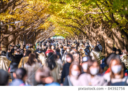 日本東京都市風光震撼世界... 抗佤超新突變株。神宮外苑的一排伊長樹是一個威脅人群 = 11 月 28 日 84392756