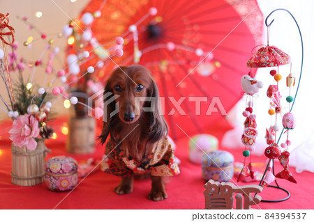 達克斯基金享受新年 達克斯基金享受新年 84394537