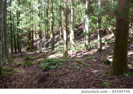 Shiroinoue Castle Ruins Shiroinoue Castle Ruins 84394749