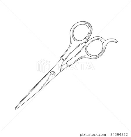 Scissors sketch. Hairdresser shears tool. Vector illustration Scissors sketch. Hairdresser shears tool. Vector illustration 84394852