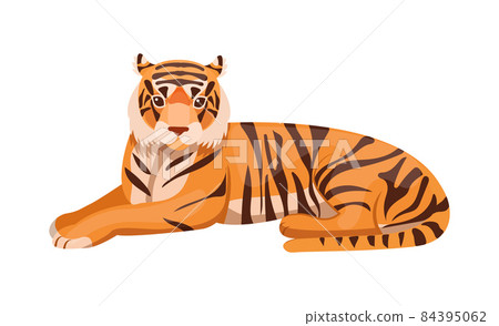 Adult big tiger wildlife Ussurian tiger cartoon flat 84395062