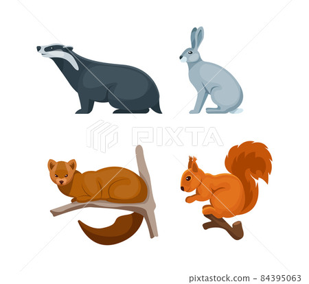 Woodland forest animals. Cute wild forest animals badger, hare, squirrel, sable 84395063