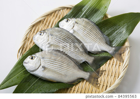 Hedai Hedai fresh fish 84395563