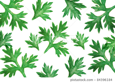 Mugwort Background 84396184