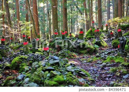 Komagane Highlands Kozenji Temple Sagamigawara 84396471