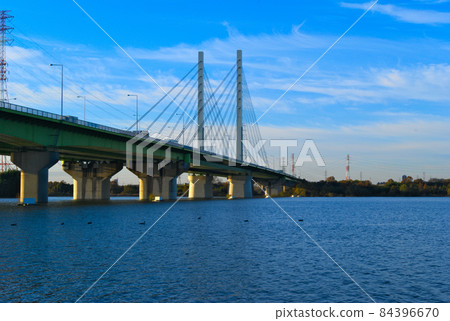 Kokoro Ohashi 84396670