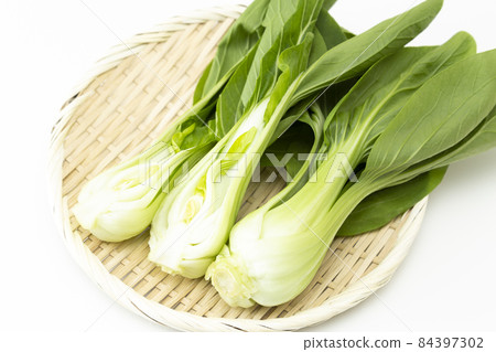 Bok choy white background 84397302