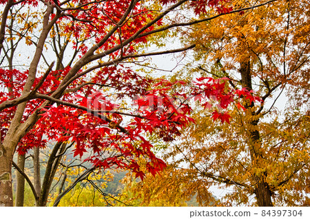 Osagoe Park 84397304