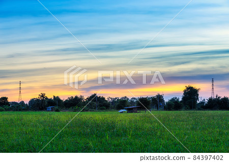 Old Wood cottage and Scenic view landscape of Rice field green grass with field cornfield or in Asia country agriculture harvest with with fluffy clouds blue sky sunset evening background. Old Wood cottage and Scenic view landscape of Rice field green grass with field cornfield or in Asia country agriculture harvest with with fluffy clouds blue sky sunset evening background. 84397402