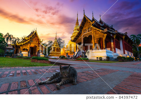 The brown cat's in Wat Phra Singh is a Buddhist temple is a major tourist attraction in Chiang Mai Northern Thailand at twilight sunset sky background ,Travels in Southeast Asia,is Public places 84397472