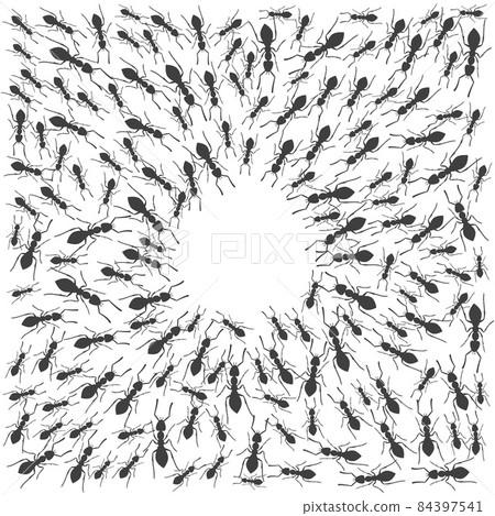 A colony of ants gathers in a circle. A group of insects around a place for a text. Vector A colony of ants gathers in a circle. A group of insects around a place for a text. Vector 84397541