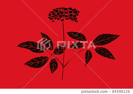 Red korean ginseng illustration. Hand drawn. Vector illustration 84398126