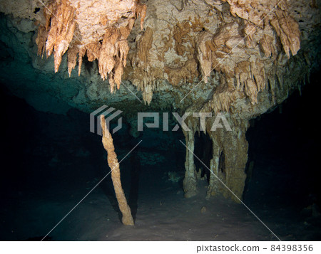 水下洞穴(Cenote Dos Ojos,圖盧姆,墨西哥) 水下洞穴(Cenote Dos Ojos,圖盧姆,墨西哥) 84398356