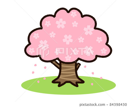 Cute cherry tree 84398430
