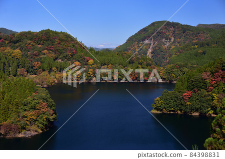 蜂巢湖秋葉 84398831